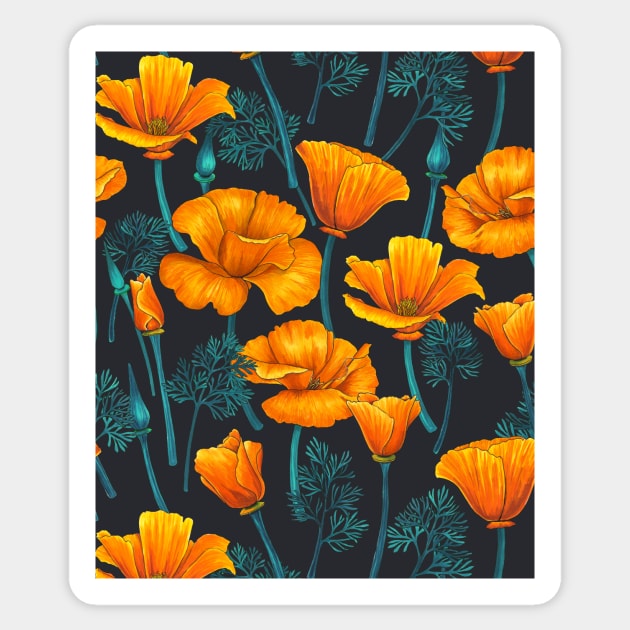 California poppies 3 Sticker by katerinamk